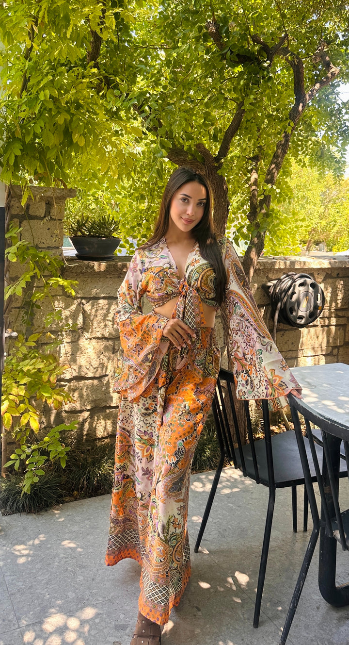 Cielsa takım